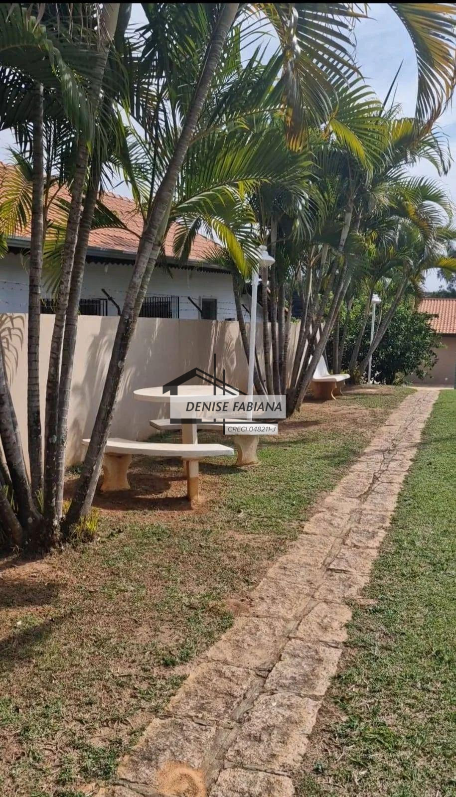 Fazenda à venda com 3 quartos, 1000m² - Foto 5